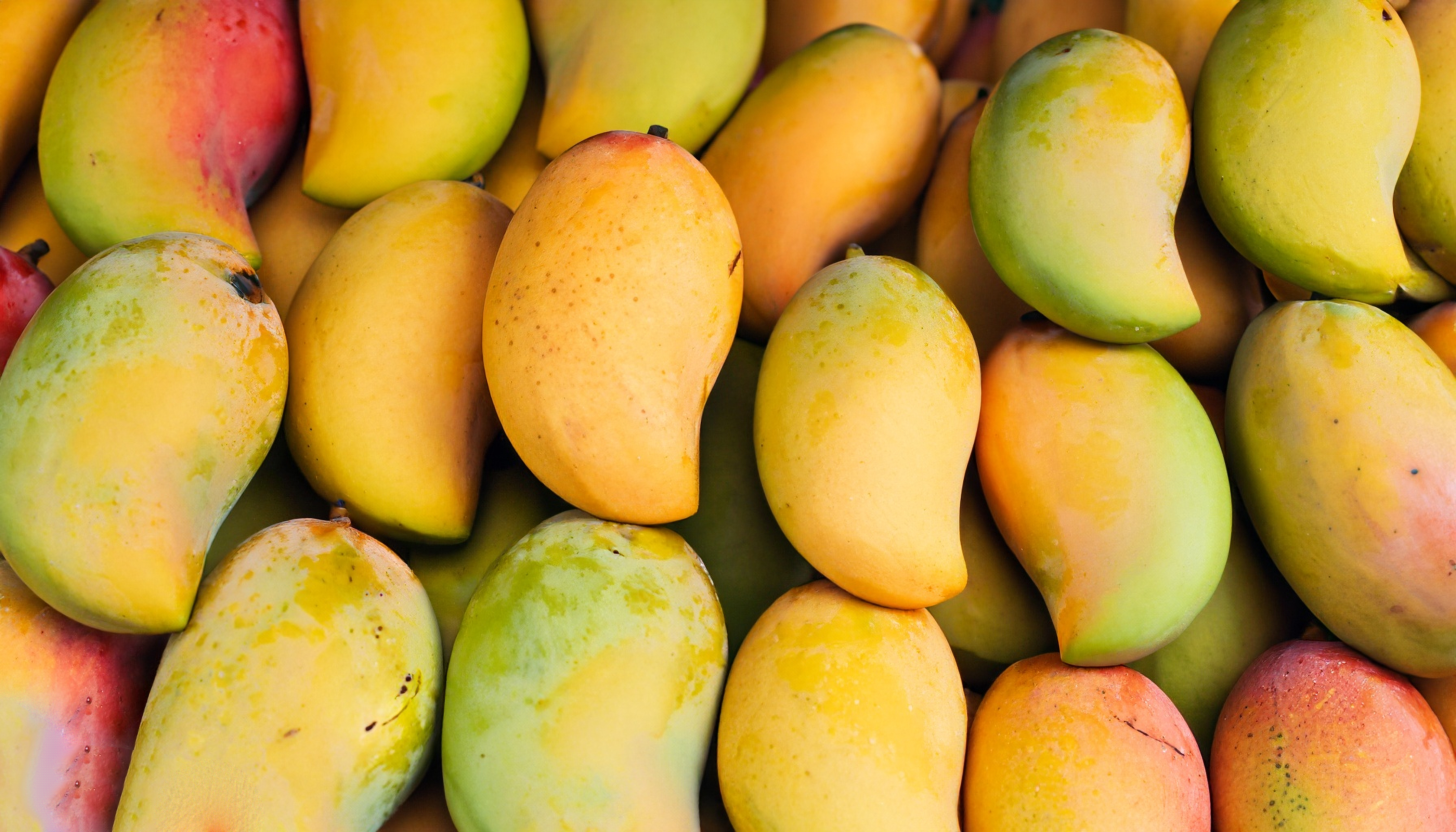 Mangos - Image 3