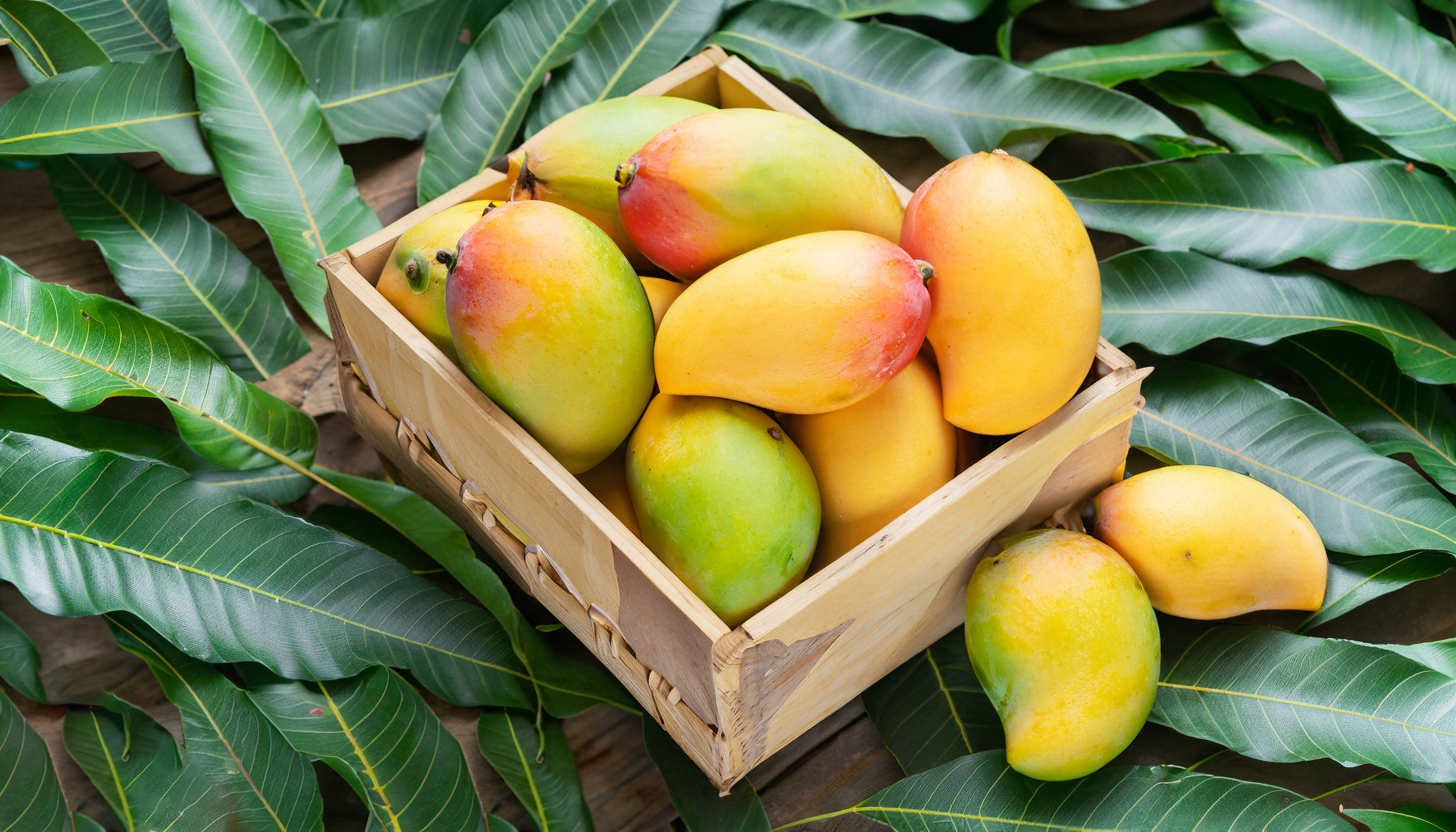 Mangos